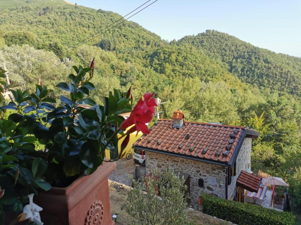 Montefegatesi Deliziosa Casetta Sull'Appennino Toscano מראה חיצוני תמונה